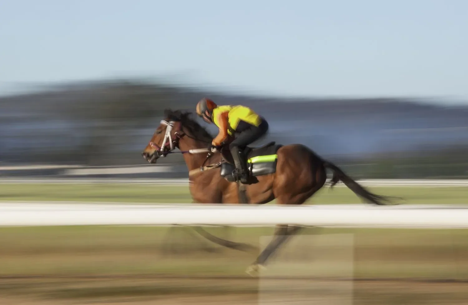 Kentucky Derby: The $10 million gamble on a 1000-1 long shot - 3