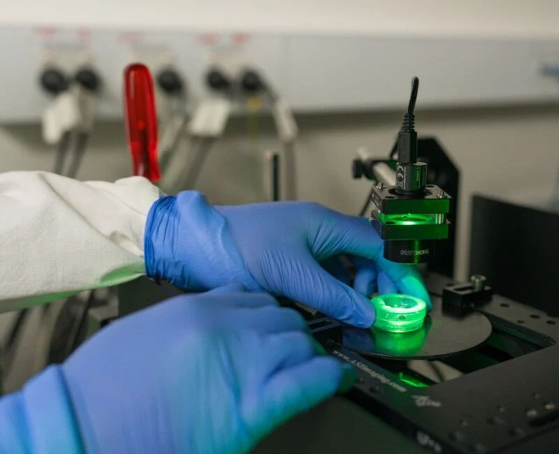 Hidden cell networks emerge in 3D as new nanoscopy tracks living bridges - 4