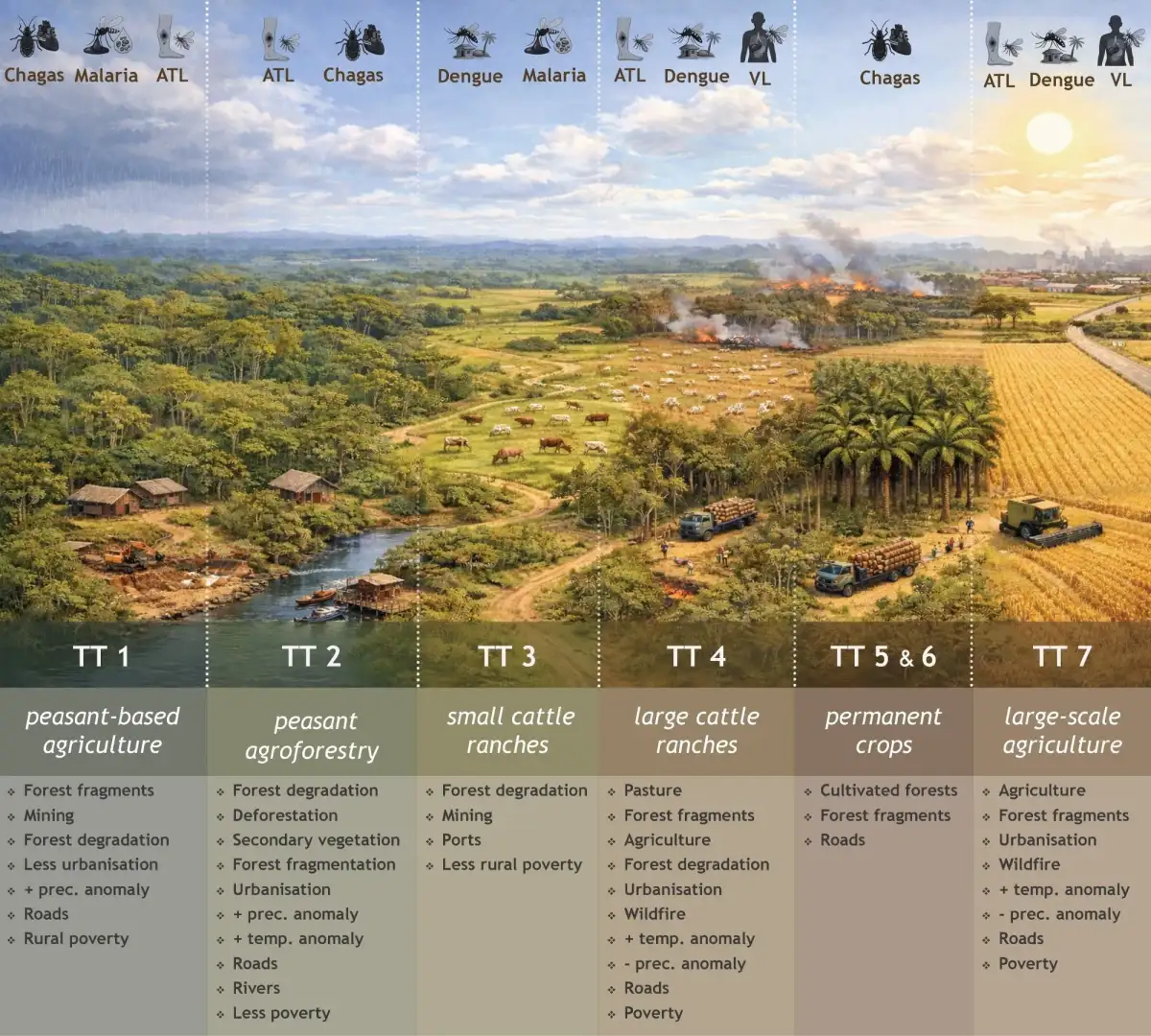 Insect-borne diseases in the Amazon linked to land use and rural economies - 1