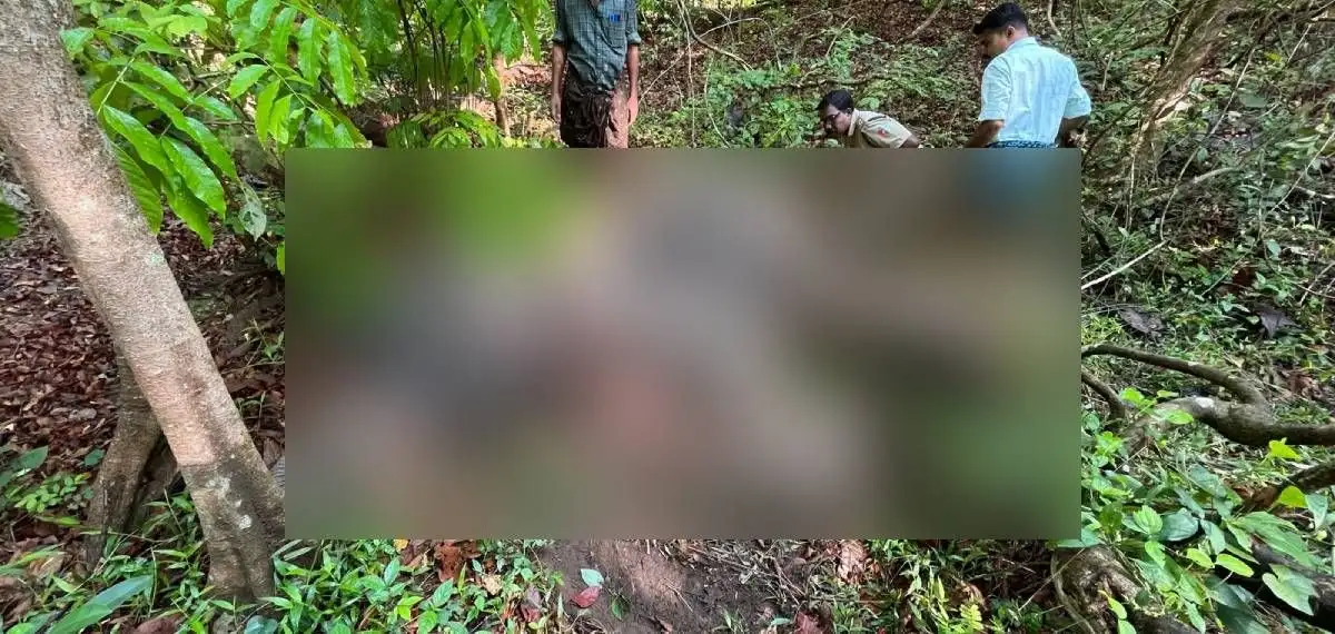 Elephant carcass found in Nilambur - 2
