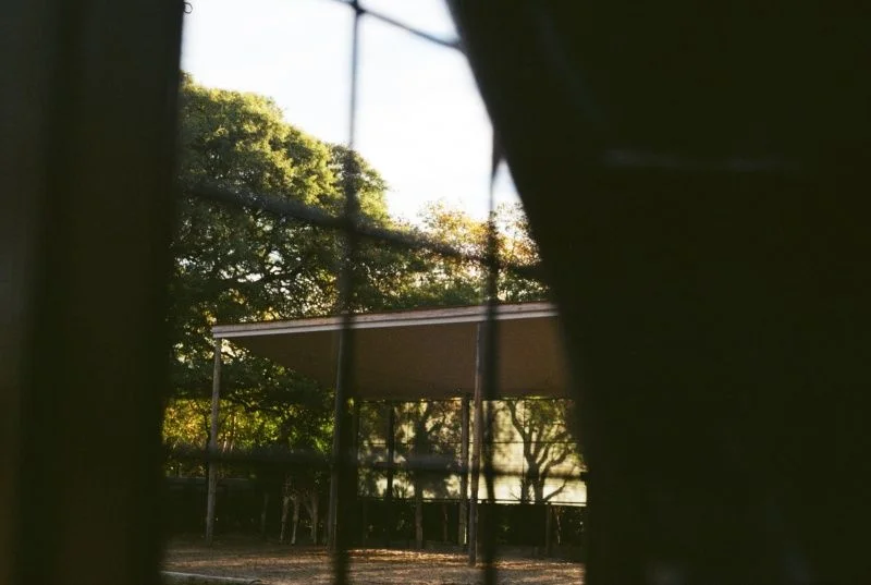Collective Monologue review – sensuous zoo study foregrounds contacts between keepers and creatures - 2