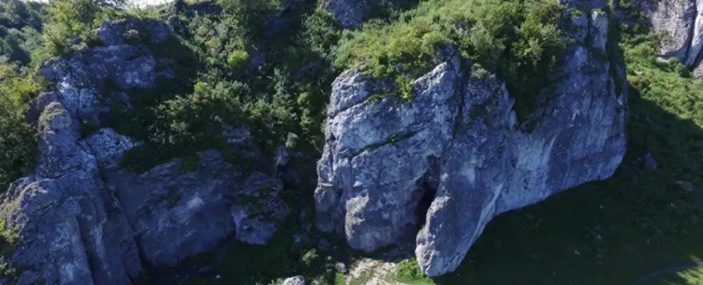 New genetic evidence from Stajnia Cave reveals the oldest Neanderthal group reconstructed in Central-Eastern Europe - 2