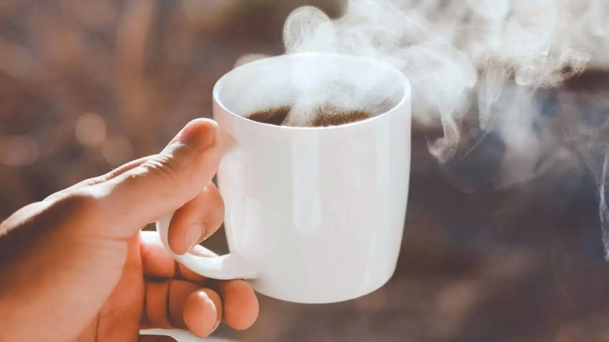 Coffee, Dementia Risk Discussed As New Study Shows Drinking 2-3 Cups Could Lower Possibility Of Developing Degenerative Disease - 2