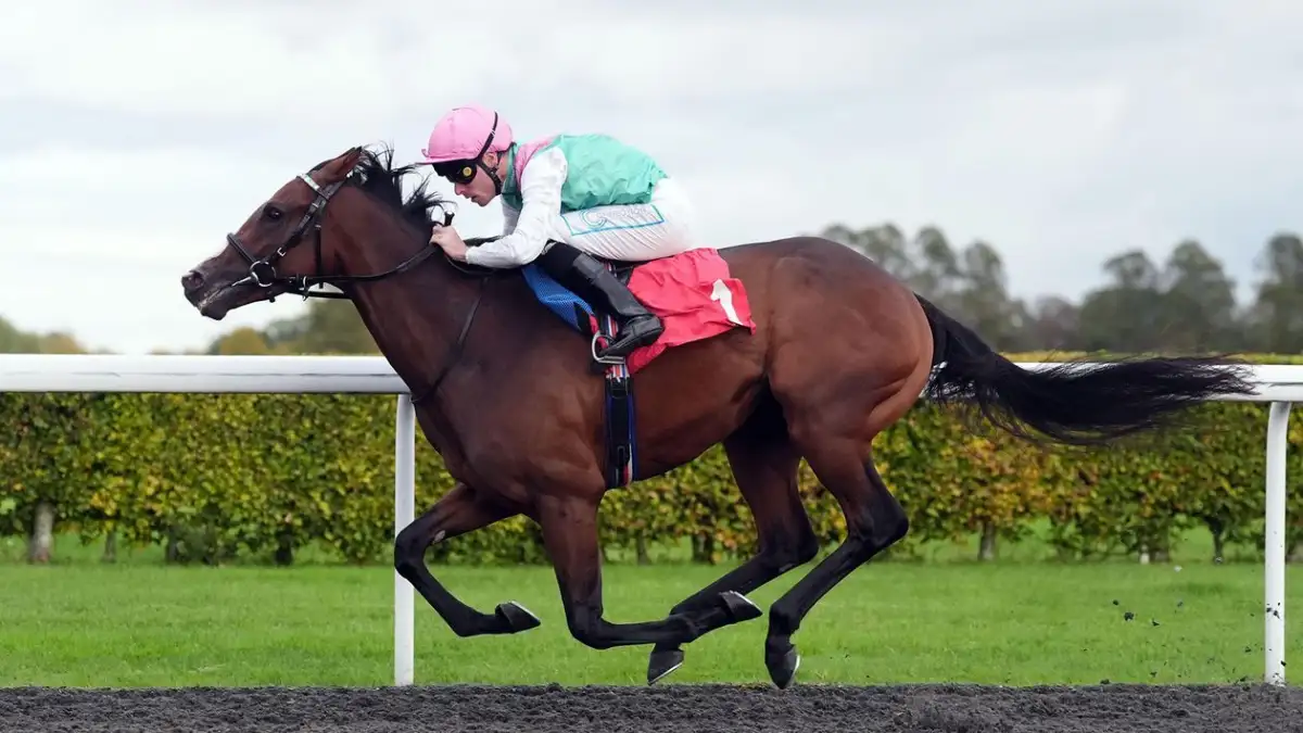 Today on Sky Sports Racing: French Derby entrants clash at Chantilly - 1