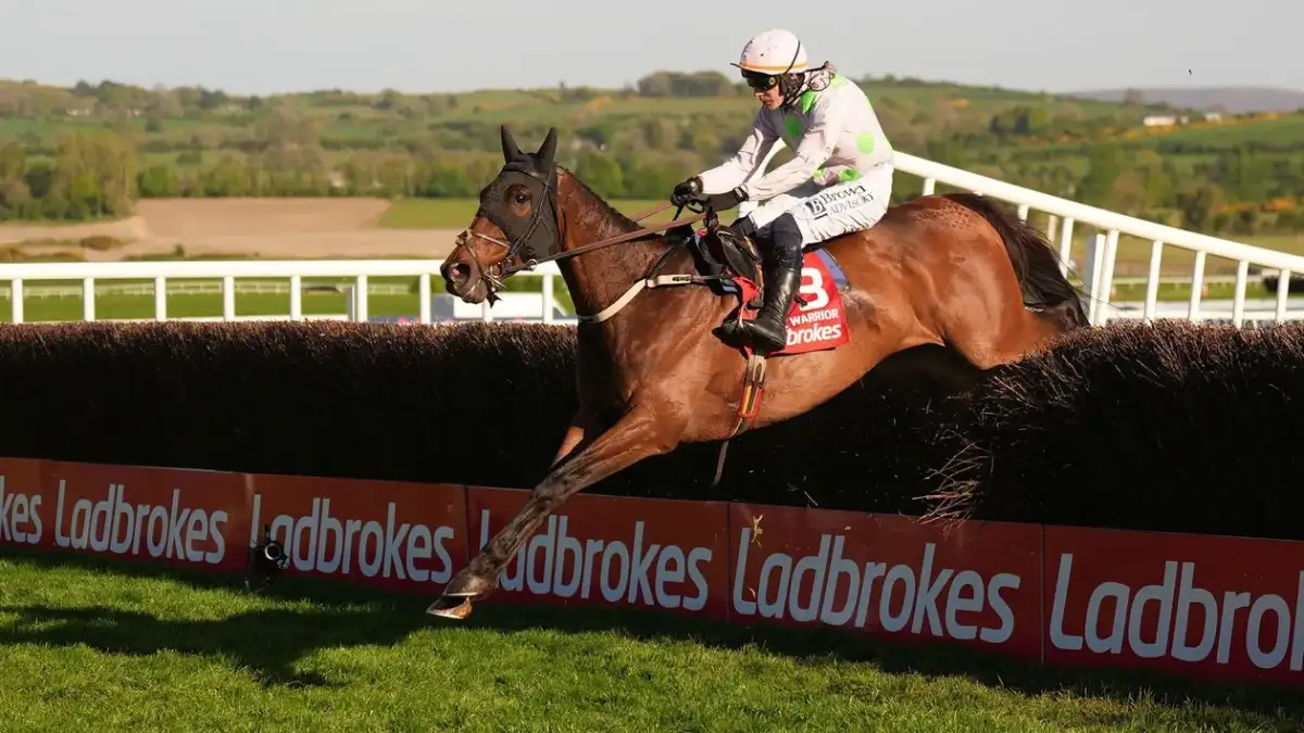 Gaelic Warrior seals Gold Cup double at Punchestown - 1