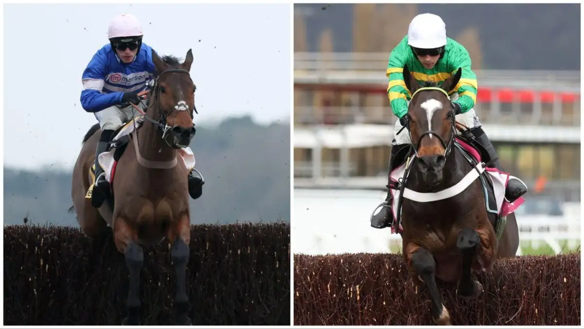 Today on Sky Sports Racing: Pic D'Orhy faces Jonbon in Ascot Chase three-peat bid - 2