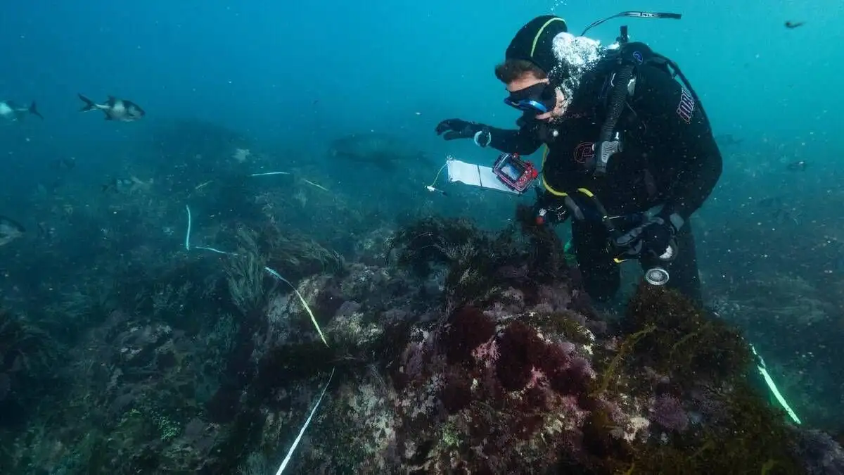 Algal bloom report lashed as 'vanilla' by scientist turned political candidate - 1