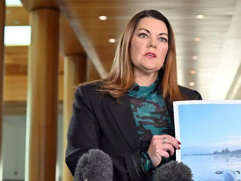 Algal bloom report lashed as 'vanilla' by scientist turned political candidate - 2