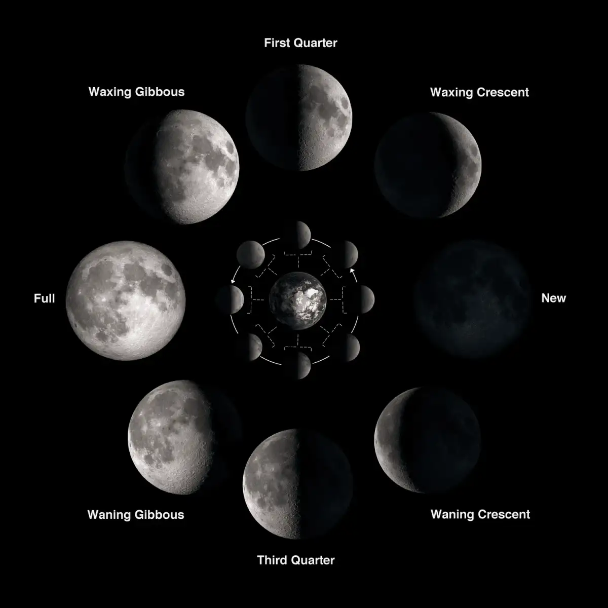 What's on dark side of the Moon? NASA hopes it's secret to life on Earth... - 4