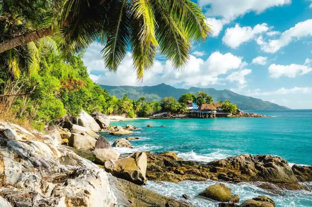 CDC issues travel warning for popular beach destination over life-threatening incurable mosquito virus - 2